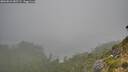 ./images/calvert/foggy-cove/20260821/foggy-cove20260821_085501M.jpg