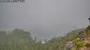 ./images/calvert/foggy-cove/20260821/foggy-cove20260821_090001M.jpg