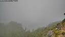 ./images/calvert/foggy-cove/20260821/foggy-cove20260821_091501M.jpg