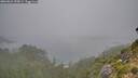 ./images/calvert/foggy-cove/20260821/foggy-cove20260821_095001M.jpg