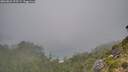 ./images/calvert/foggy-cove/20260821/foggy-cove20260821_095501M.jpg