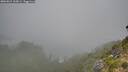 ./images/calvert/foggy-cove/20260821/foggy-cove20260821_100001M.jpg