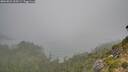 ./images/calvert/foggy-cove/20260821/foggy-cove20260821_100501M.jpg