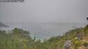 ./images/calvert/foggy-cove/20260821/foggy-cove20260821_101502M.jpg