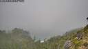 ./images/calvert/foggy-cove/20260821/foggy-cove20260821_104001M.jpg