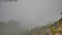 ./images/calvert/foggy-cove/20260821/foggy-cove20260821_104501M.jpg