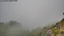 ./images/calvert/foggy-cove/20260821/foggy-cove20260821_105002M.jpg
