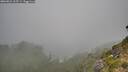 ./images/calvert/foggy-cove/20260821/foggy-cove20260821_105501M.jpg