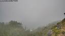 ./images/calvert/foggy-cove/20260821/foggy-cove20260821_110001M.jpg