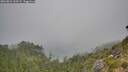 ./images/calvert/foggy-cove/20260821/foggy-cove20260821_110502M.jpg