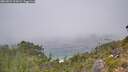 ./images/calvert/foggy-cove/20260821/foggy-cove20260821_124501M.jpg