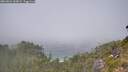 ./images/calvert/foggy-cove/20260821/foggy-cove20260821_130001M.jpg