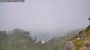 ./images/calvert/foggy-cove/20260821/foggy-cove20260821_131501M.jpg