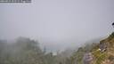 ./images/calvert/foggy-cove/20260821/foggy-cove20260821_132501M.jpg