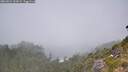 ./images/calvert/foggy-cove/20260821/foggy-cove20260821_133002M.jpg