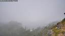 ./images/calvert/foggy-cove/20260821/foggy-cove20260821_133501M.jpg