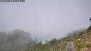 ./images/calvert/foggy-cove/20260821/foggy-cove20260821_134502M.jpg
