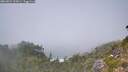 ./images/calvert/foggy-cove/20260821/foggy-cove20260821_135001M.jpg