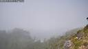 ./images/calvert/foggy-cove/20260821/foggy-cove20260821_135501M.jpg