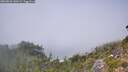 ./images/calvert/foggy-cove/20260821/foggy-cove20260821_140501M.jpg