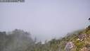 ./images/calvert/foggy-cove/20260821/foggy-cove20260821_141501M.jpg