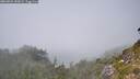./images/calvert/foggy-cove/20260821/foggy-cove20260821_142001M.jpg