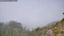 ./images/calvert/foggy-cove/20260821/foggy-cove20260821_142501M.jpg