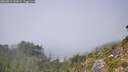 ./images/calvert/foggy-cove/20260821/foggy-cove20260821_143001M.jpg