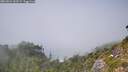 ./images/calvert/foggy-cove/20260821/foggy-cove20260821_143501M.jpg