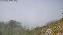 ./images/calvert/foggy-cove/20260821/foggy-cove20260821_144001M.jpg