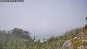 ./images/calvert/foggy-cove/20260821/foggy-cove20260821_144501M.jpg