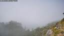 ./images/calvert/foggy-cove/20260821/foggy-cove20260821_145001M.jpg