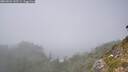 ./images/calvert/foggy-cove/20260821/foggy-cove20260821_145501M.jpg