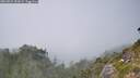 ./images/calvert/foggy-cove/20260821/foggy-cove20260821_151001M.jpg