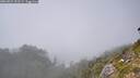 ./images/calvert/foggy-cove/20260821/foggy-cove20260821_151501M.jpg