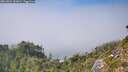 ./images/calvert/foggy-cove/20260821/foggy-cove20260821_152001M.jpg