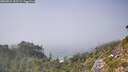 ./images/calvert/foggy-cove/20260821/foggy-cove20260821_152501M.jpg