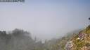 ./images/calvert/foggy-cove/20260821/foggy-cove20260821_153001M.jpg