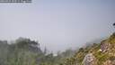 ./images/calvert/foggy-cove/20260821/foggy-cove20260821_153501M.jpg