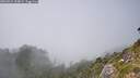 ./images/calvert/foggy-cove/20260821/foggy-cove20260821_154001M.jpg