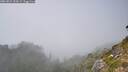 ./images/calvert/foggy-cove/20260821/foggy-cove20260821_154501M.jpg