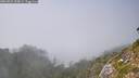 ./images/calvert/foggy-cove/20260821/foggy-cove20260821_155001M.jpg