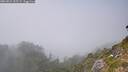 ./images/calvert/foggy-cove/20260821/foggy-cove20260821_155501M.jpg