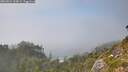 ./images/calvert/foggy-cove/20260821/foggy-cove20260821_160002M.jpg