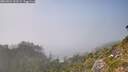 ./images/calvert/foggy-cove/20260821/foggy-cove20260821_160501M.jpg