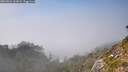 ./images/calvert/foggy-cove/20260821/foggy-cove20260821_161001M.jpg