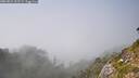 ./images/calvert/foggy-cove/20260821/foggy-cove20260821_161501M.jpg