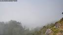 ./images/calvert/foggy-cove/20260821/foggy-cove20260821_162001M.jpg