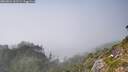 ./images/calvert/foggy-cove/20260821/foggy-cove20260821_162501M.jpg