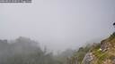 ./images/calvert/foggy-cove/20260821/foggy-cove20260821_163001M.jpg
